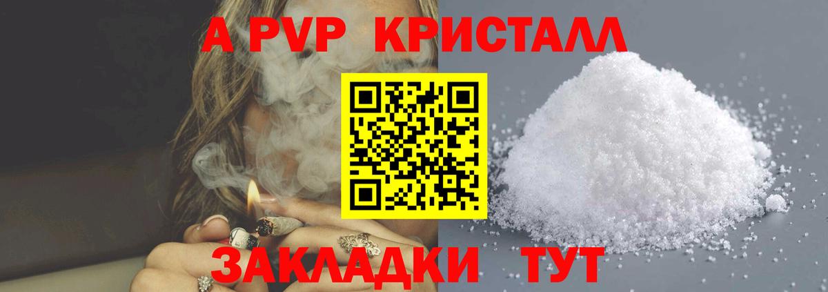 Альфа ПВП СК КРИС Гатчина